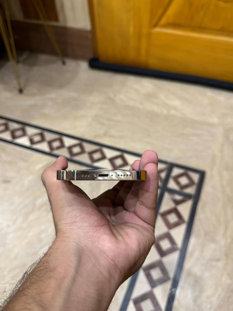 Apple iPhone 13 Pro 1