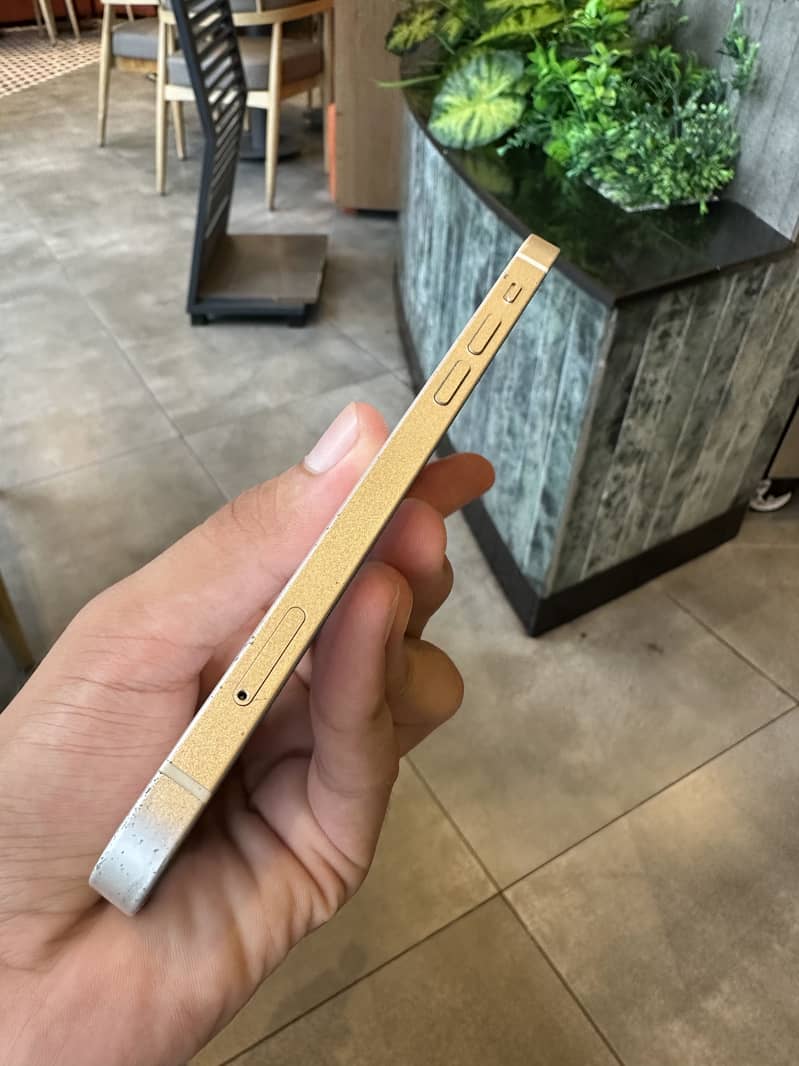 Apple iPhone 12 5