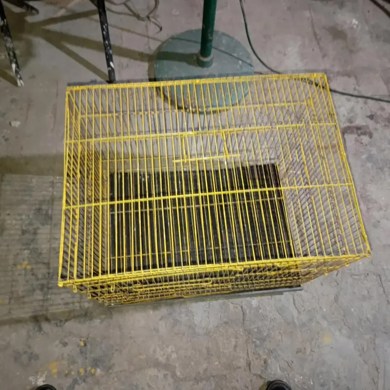 cage 1.5 by 2 size