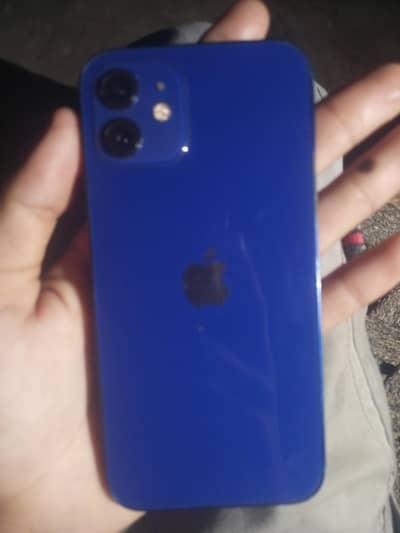 Apple iPhone 12