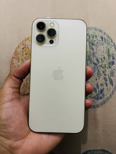 Apple iPhone 12 Pro Max jv