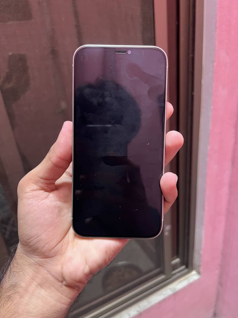 Apple iPhone 12 Pro Max 1