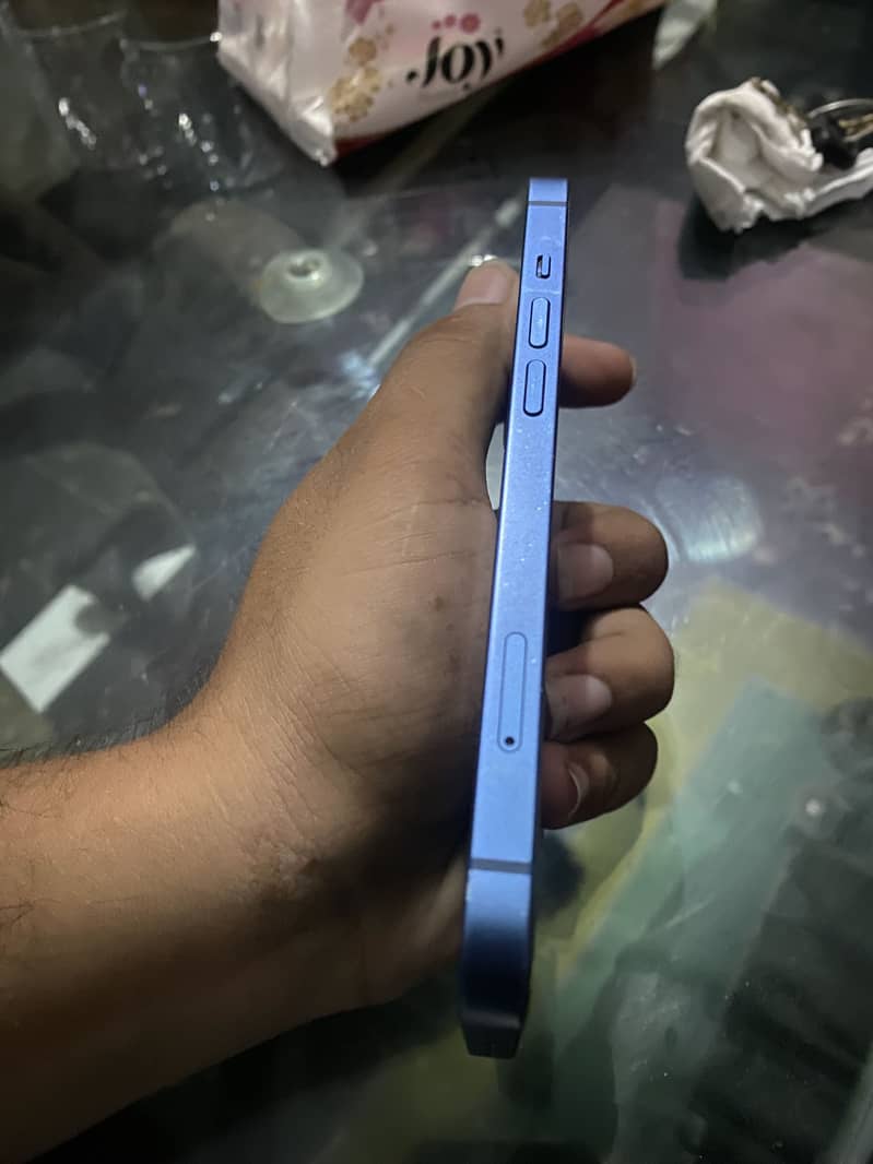 Apple iPhone 13 12