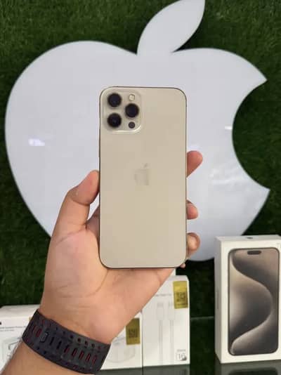 Apple iPhone 12 Pro Max