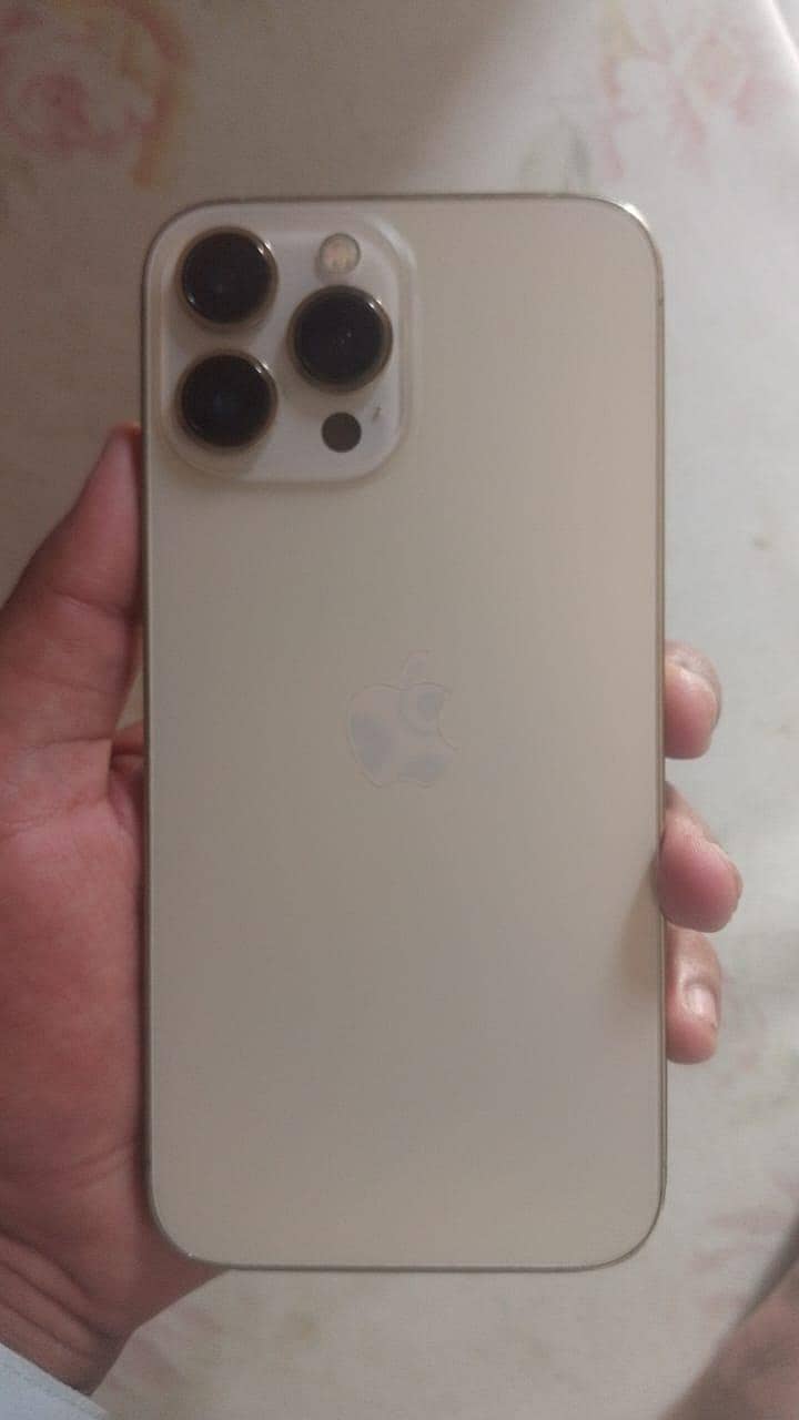 Apple iPhone 13 Pro Max 0