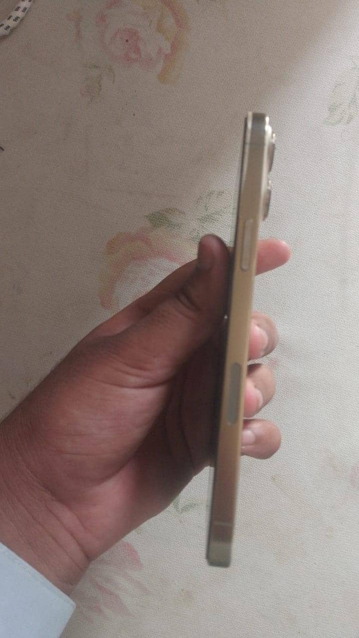 Apple iPhone 13 Pro Max 1