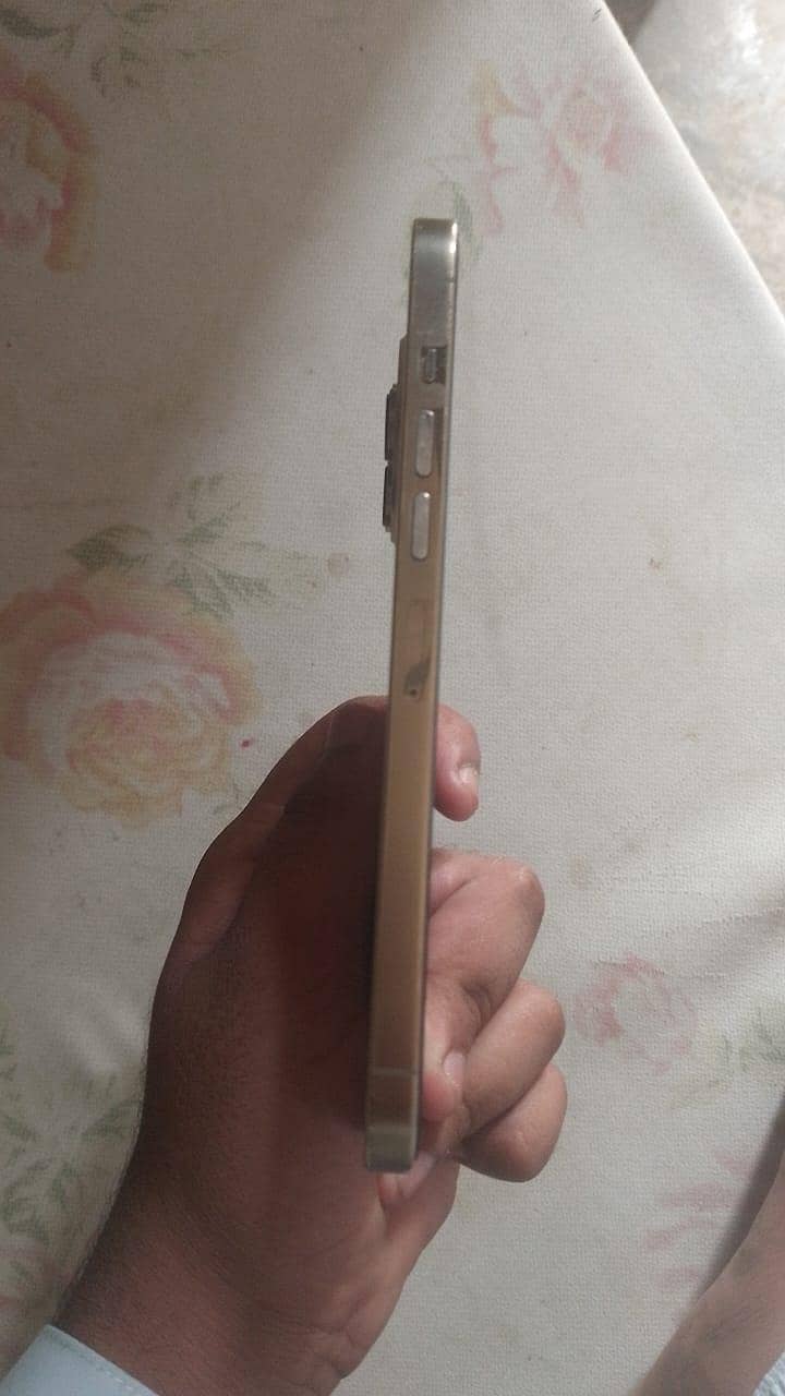 Apple iPhone 13 Pro Max 3