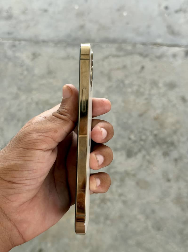 Apple iPhone 12 Pro 2