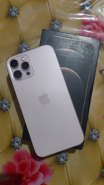 Apple iPhone 12 Pro Max