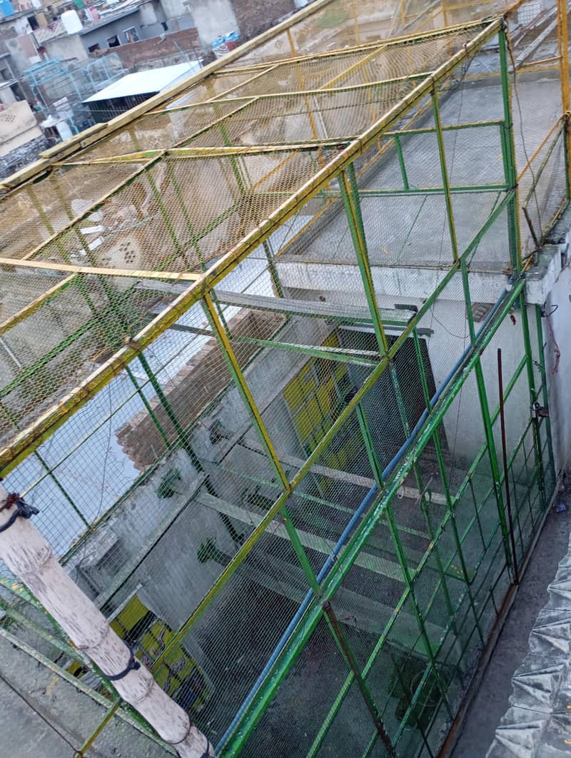 Peigons cage 2
