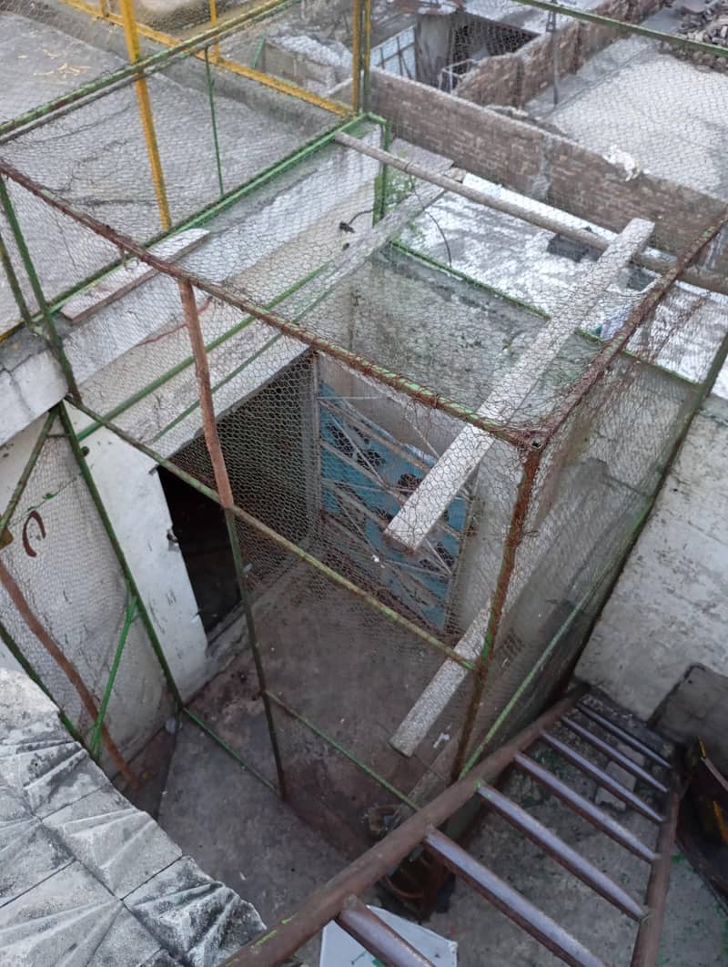 Peigons cage 3