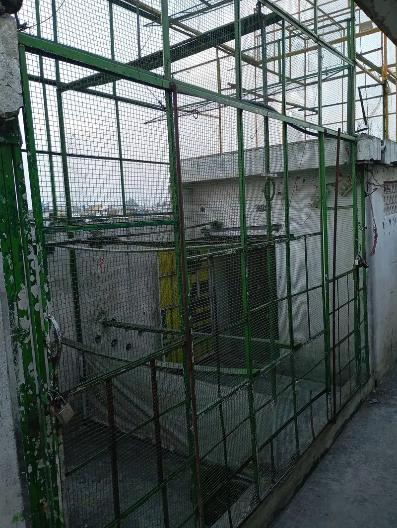 Peigons cage — photo 6