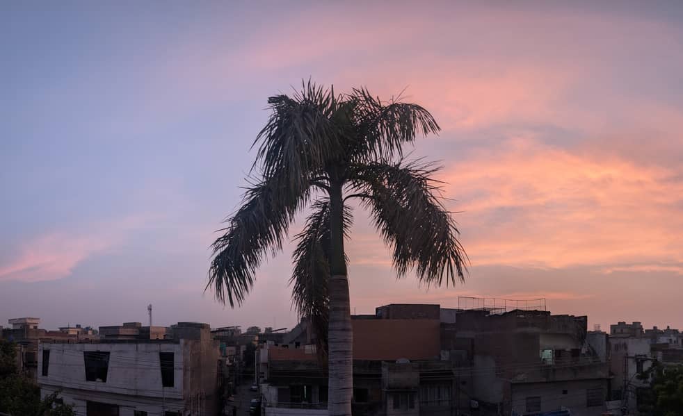 Google Pixel 8 Pro 2