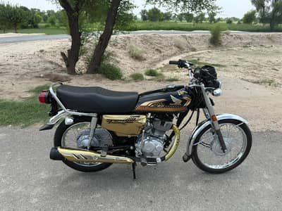 Honda 125 gold edition 2024/2025