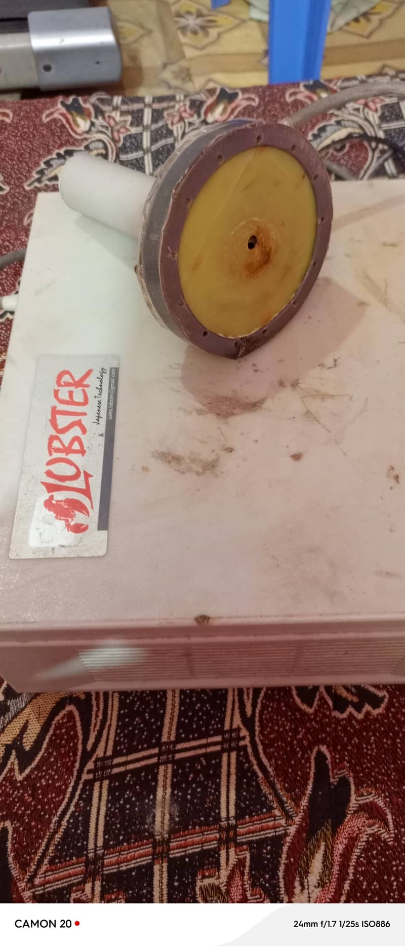 lobster 1