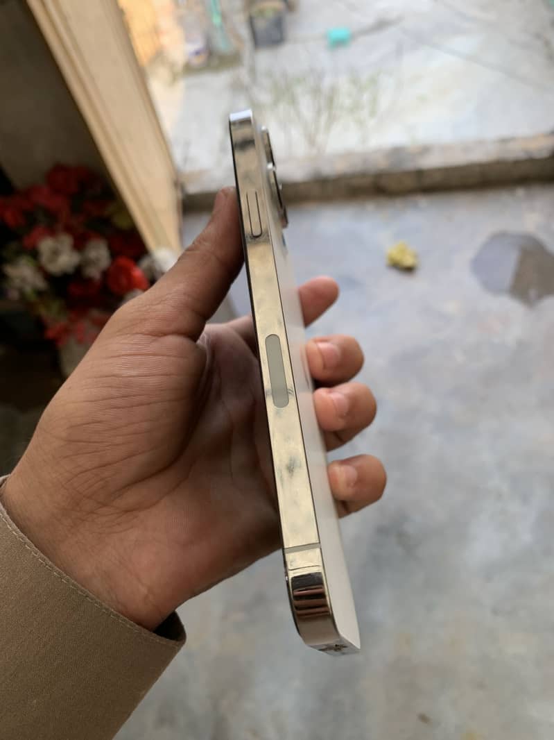 Apple iPhone 13 Pro Max 1