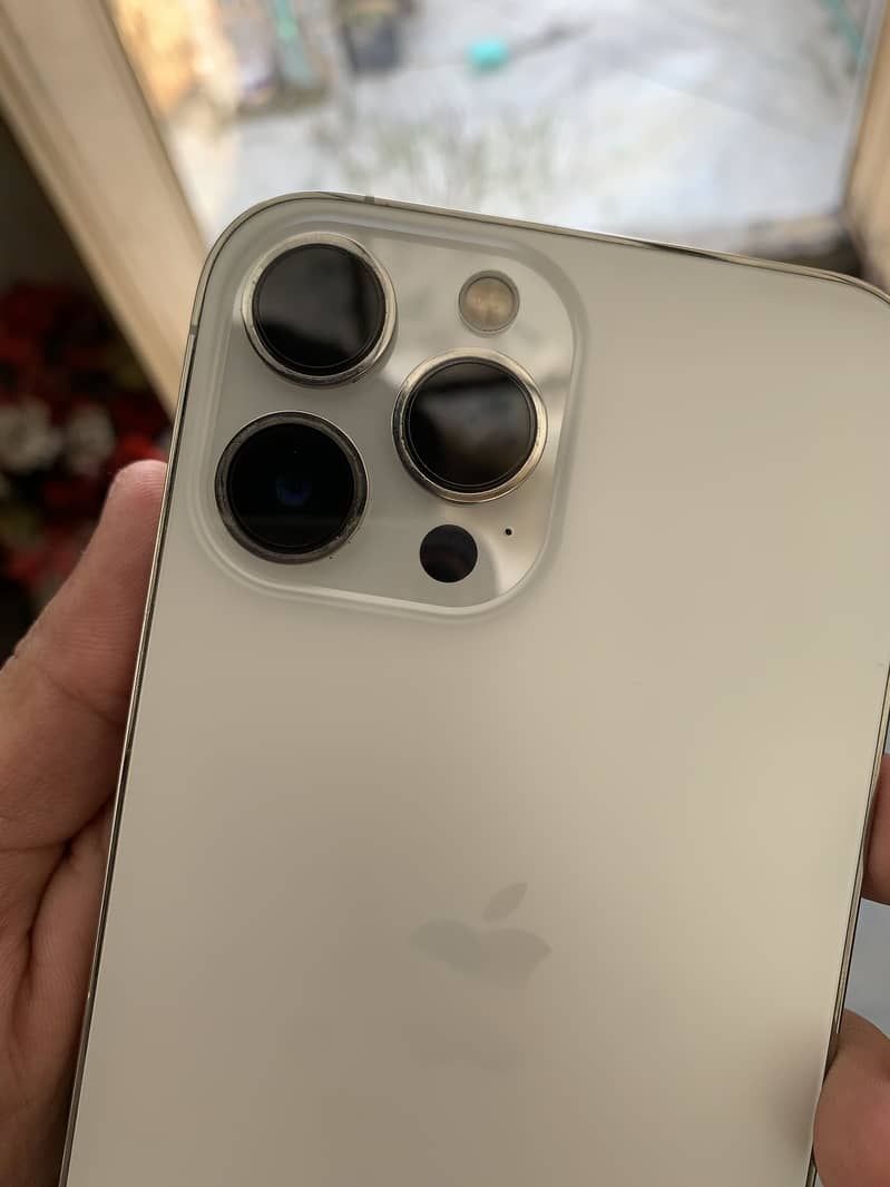Apple iPhone 13 Pro Max 2
