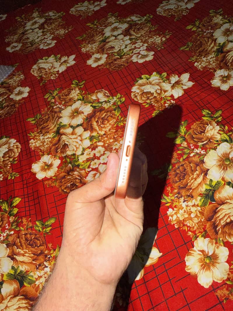 Apple iPhone 17 Pro Max 3