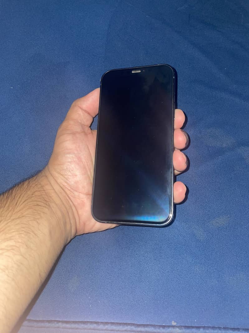 Apple iPhone 12 1