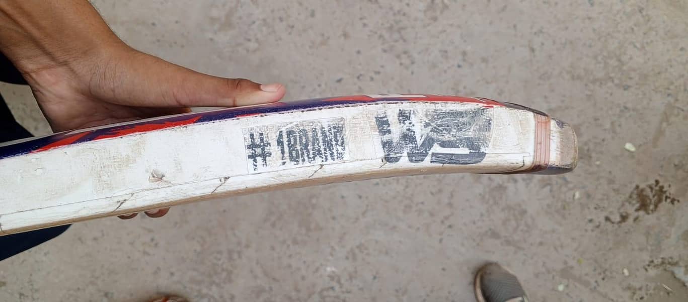 ws bat 1