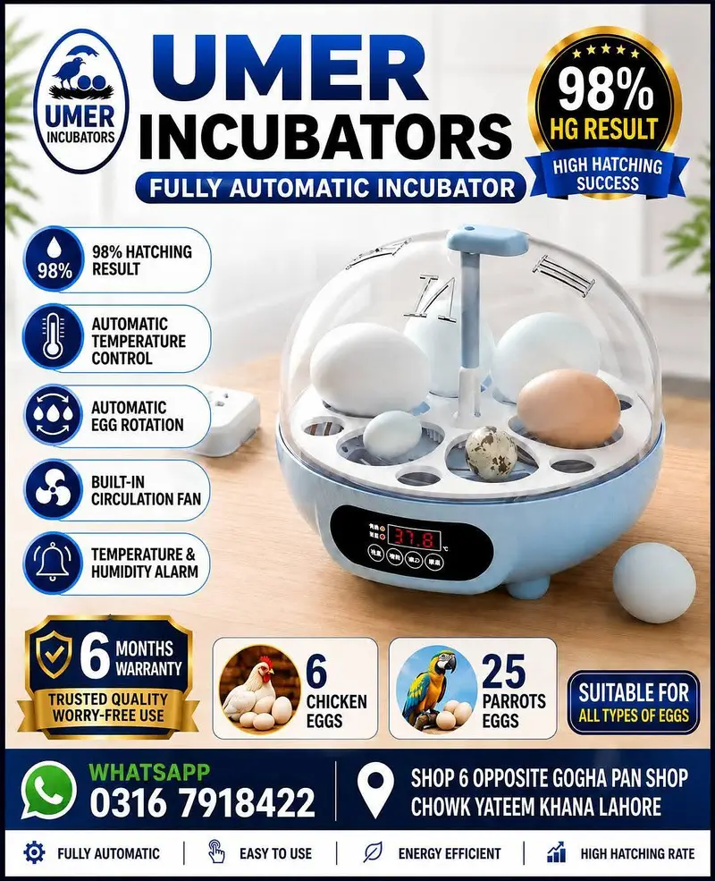Automatic Egg Incubator | Egg Hatching Machine | Incubator | Brooder — photo 6