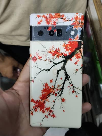 Google Pixel 6 Pro