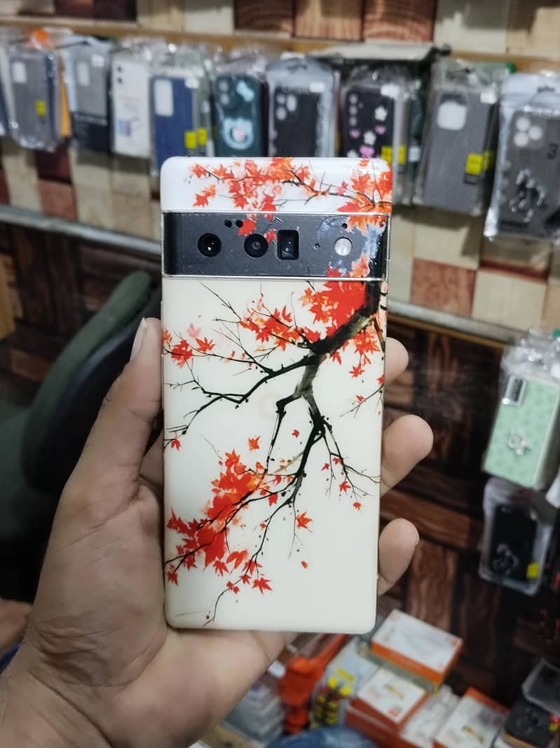 Google Pixel 6 Pro 1