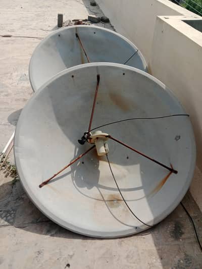 dish tawa