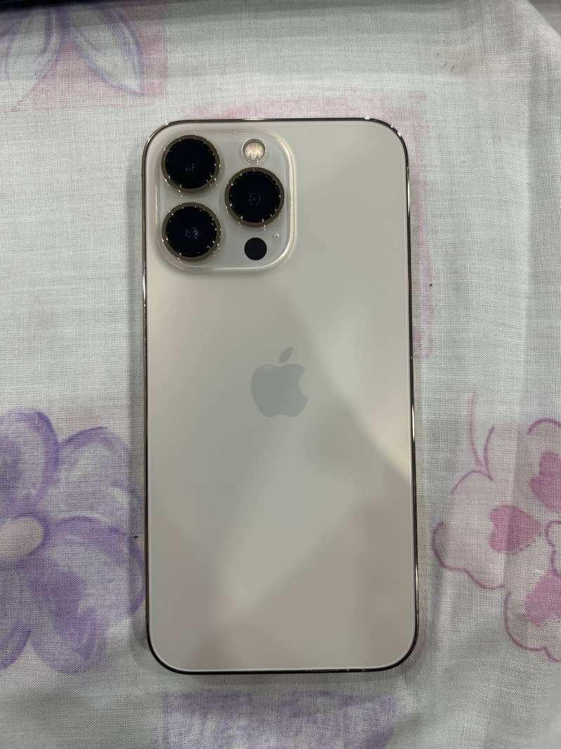 Apple iPhone 13 Pro 1