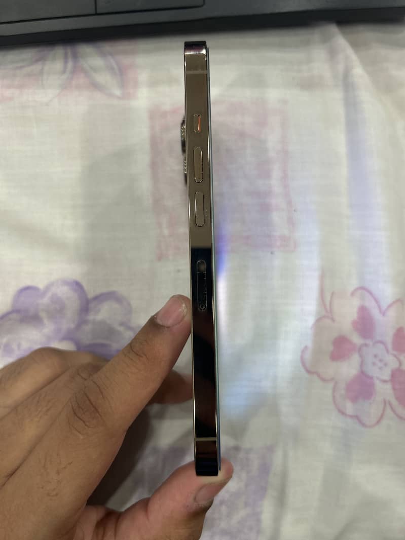 Apple iPhone 13 Pro 6