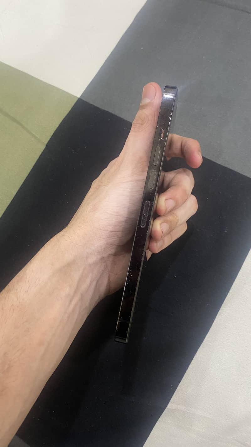 Apple iPhone 13 Pro Max 1