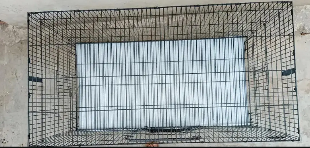 Ali Cage for sale — photo 2