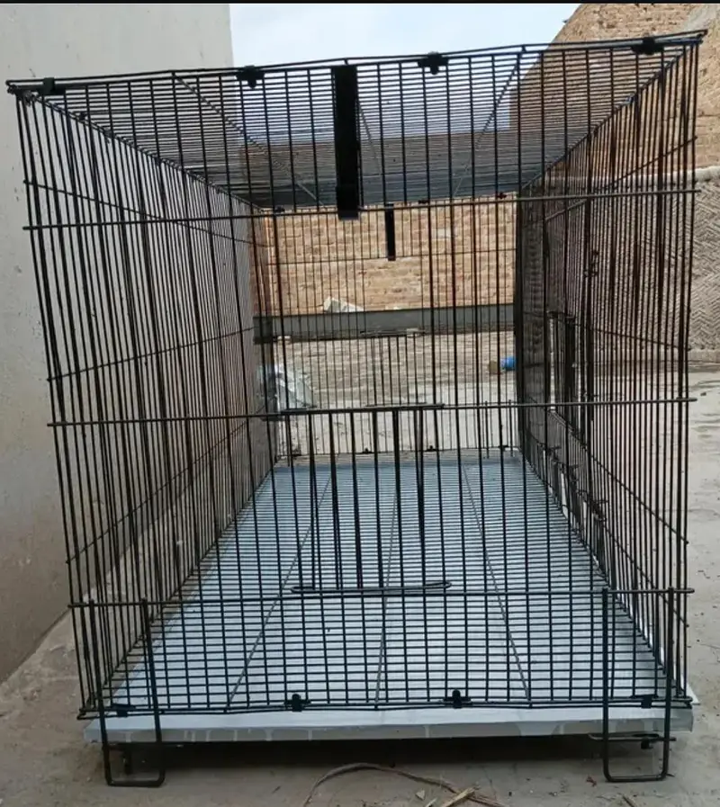 Ali Cage for sale — photo 3