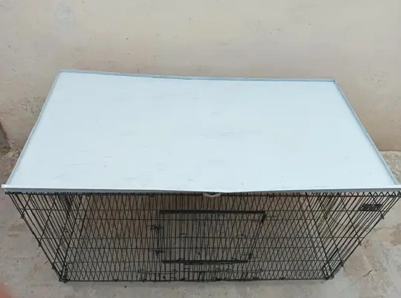 Ali Cage for sale — photo 4