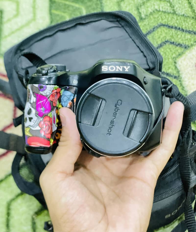 DSH -100 camera 1