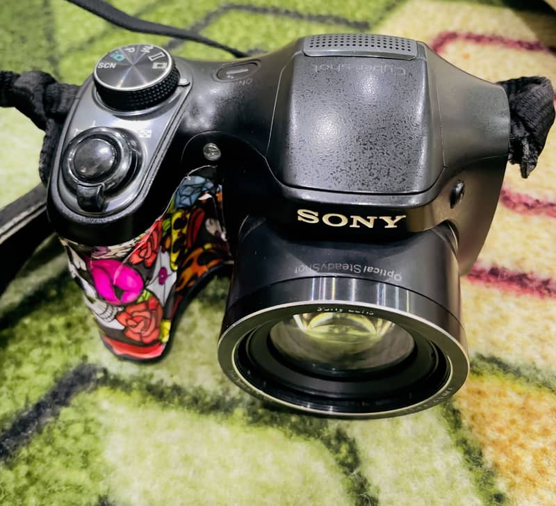 DSH -100 camera 2