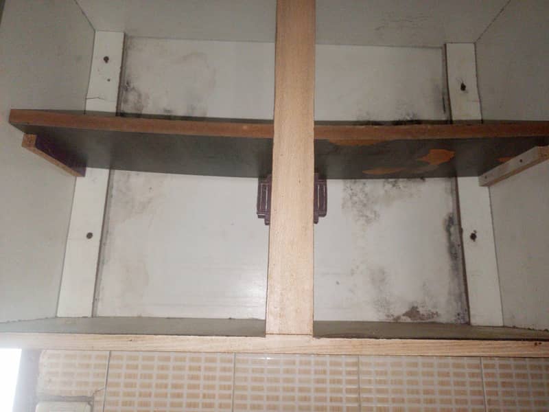 readymade cabinet 3