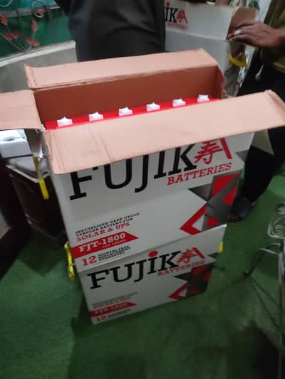 Fujika 4 tubuler battery