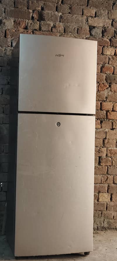 Haier medium size firij