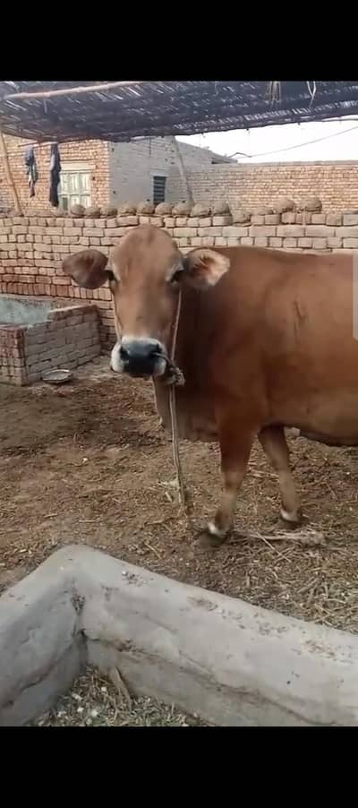 Rs 24000