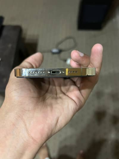 Apple iPhone 12 Pro Max