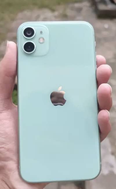 Apple iPhone 11 offical pta