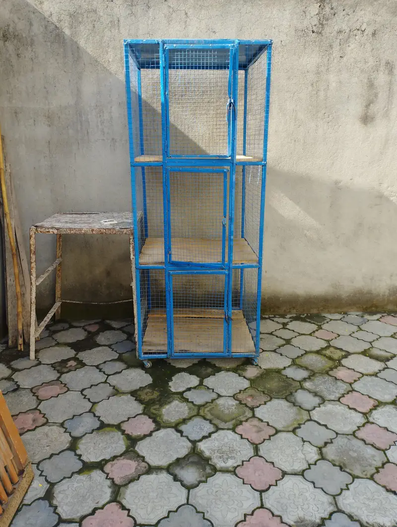 Aseel cage — photo 2