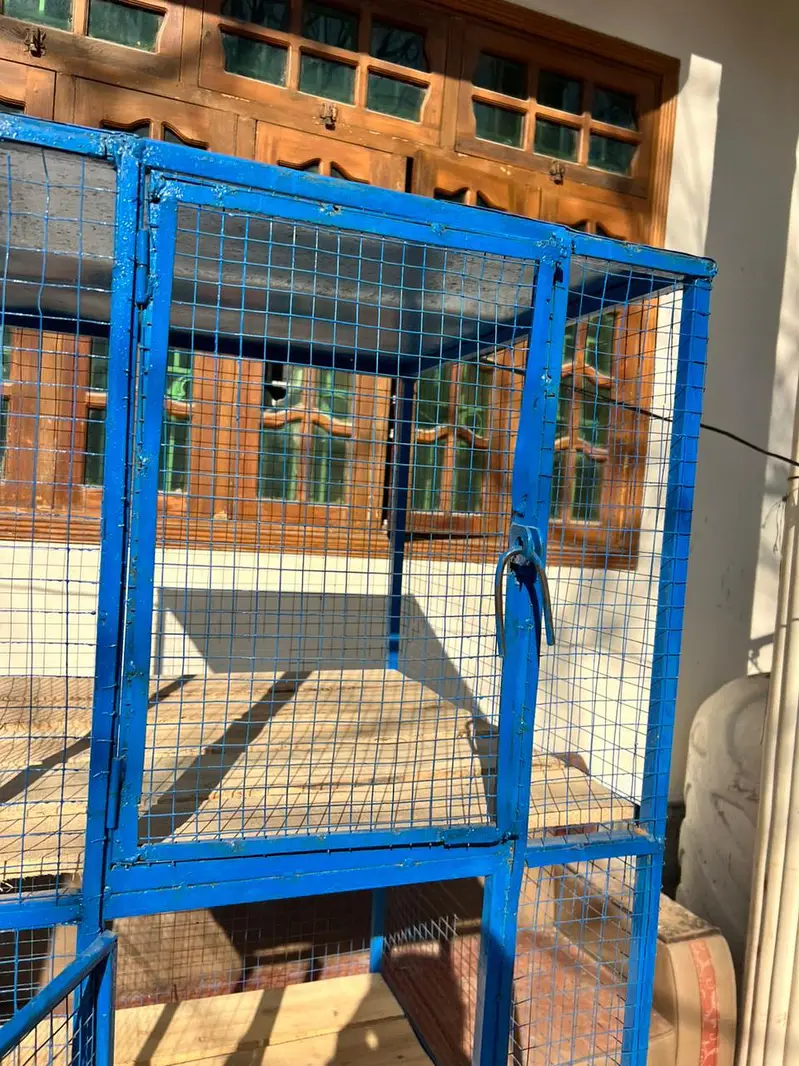 Aseel cage — photo 4
