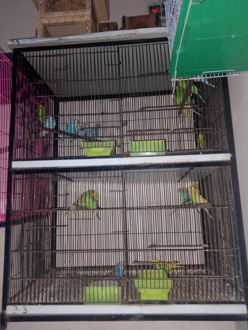 Double portion Wala cage 0