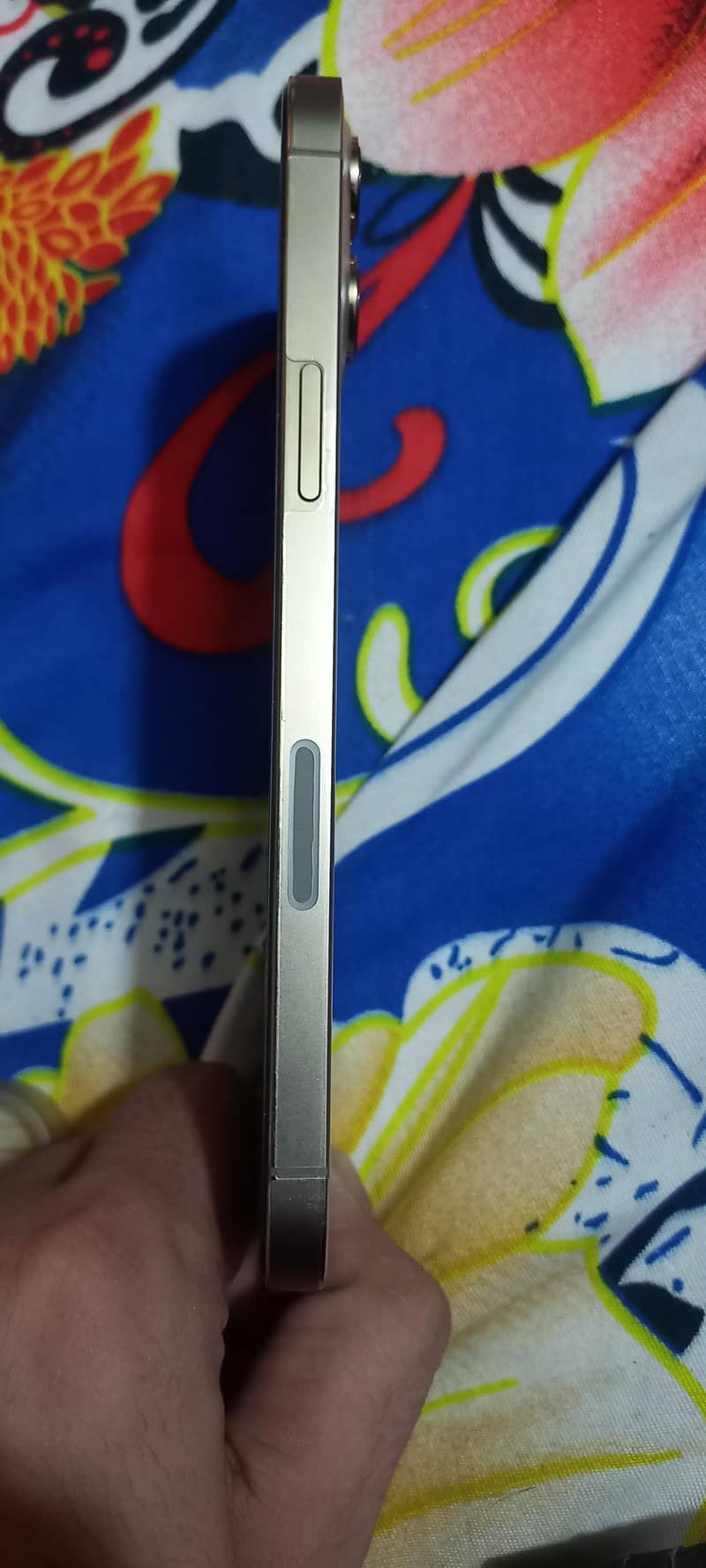 IPhone 12 Pro max 2