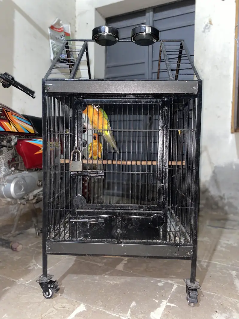 Raw Tamed +Breeding Cage — photo 2