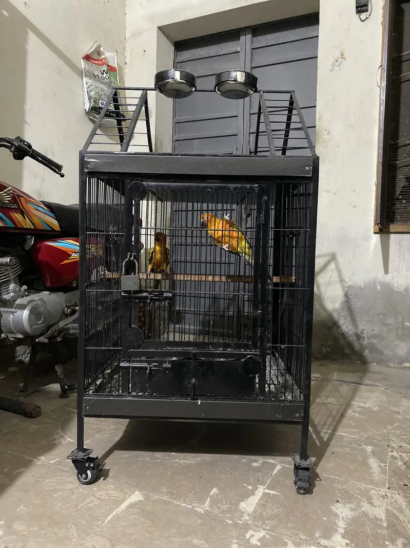 Raw Tamed +Breeding Cage — photo 3