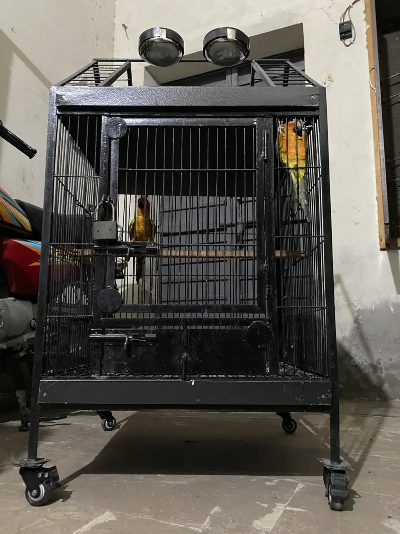 Raw Tamed +Breeding Cage — photo 4