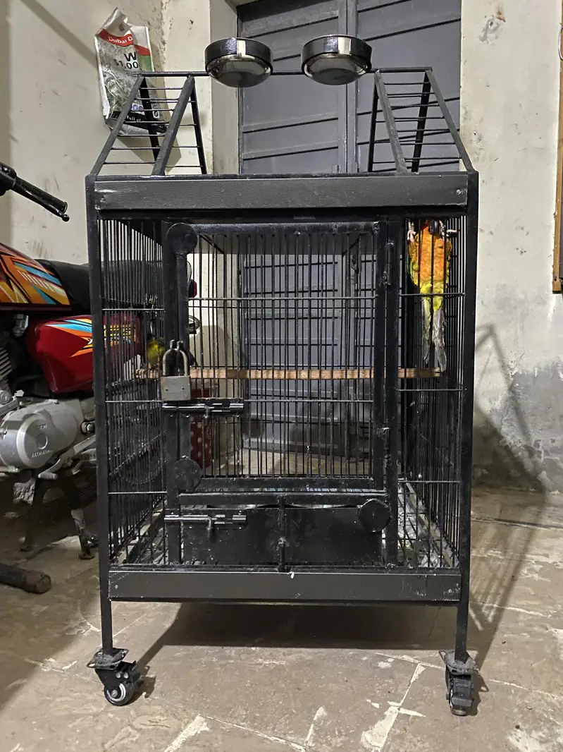 Raw Tamed +Breeding Cage — photo 5